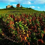Hotel Ibis Styles Centre Cathedrale Reims