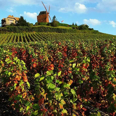 Ibis Styles Centre Cathedrale Reims