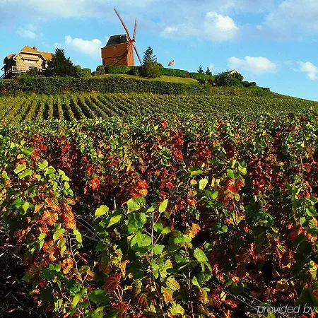 Ibis Styles Centre Cathedrale 3*