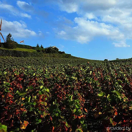 Отель Ibis Styles Centre Cathedrale