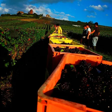 Ibis Styles Centre Cathédrale