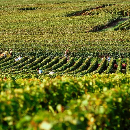 Hotel Ibis Styles Centre Cathedrale