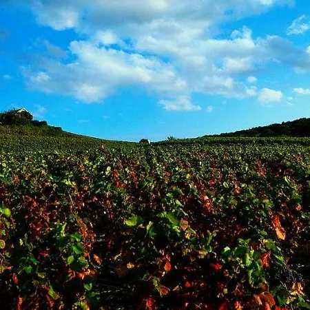 Отель Ibis Styles Centre Cathedrale