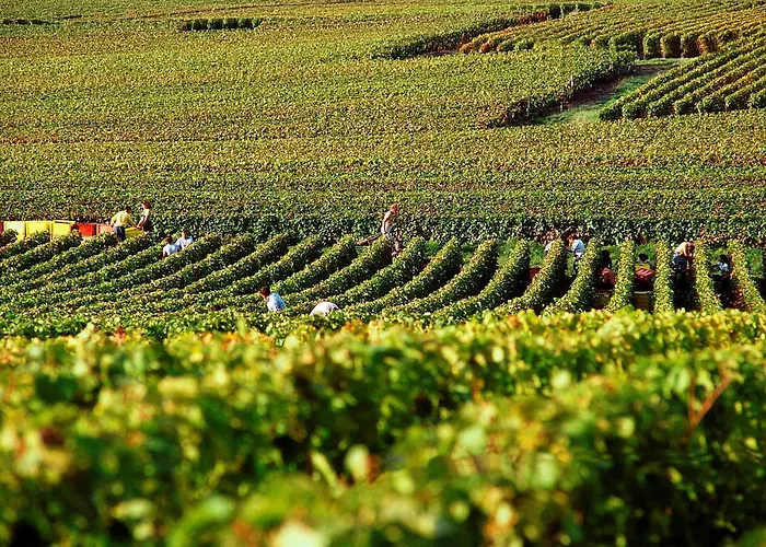 Hotell Ibis Styles Centre Cathedrale Reims