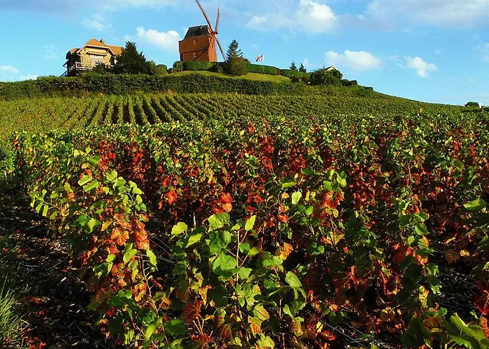 Ibis Styles Centre Cathedrale Reims