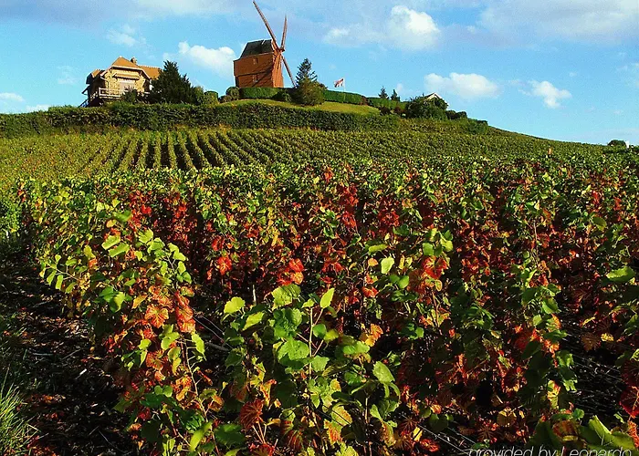 Ibis Styles Centre Cathedrale 3*