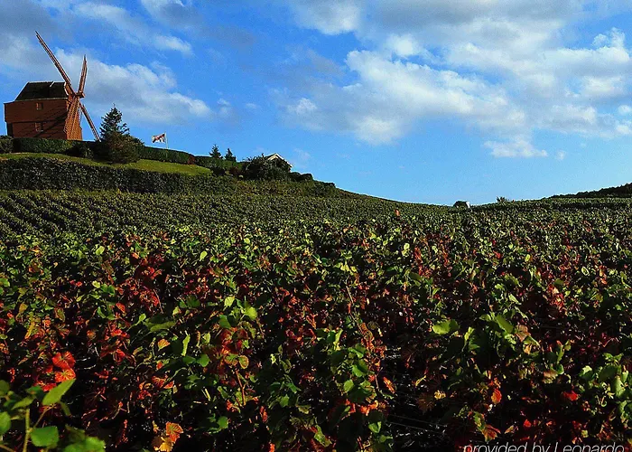 Hotell Ibis Styles Centre Cathedrale