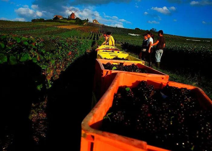 Ibis Styles Centre Cathedrale