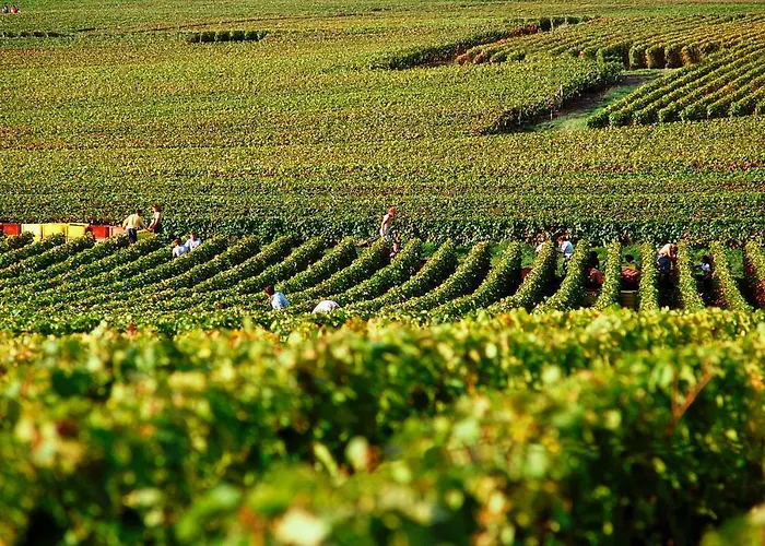 Hotel Ibis Styles Centre Cathedrale